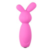 Afbeelding van Vibrerende Mini Bunny Vibrator van het merk Easytoys Mini Vibe Collection